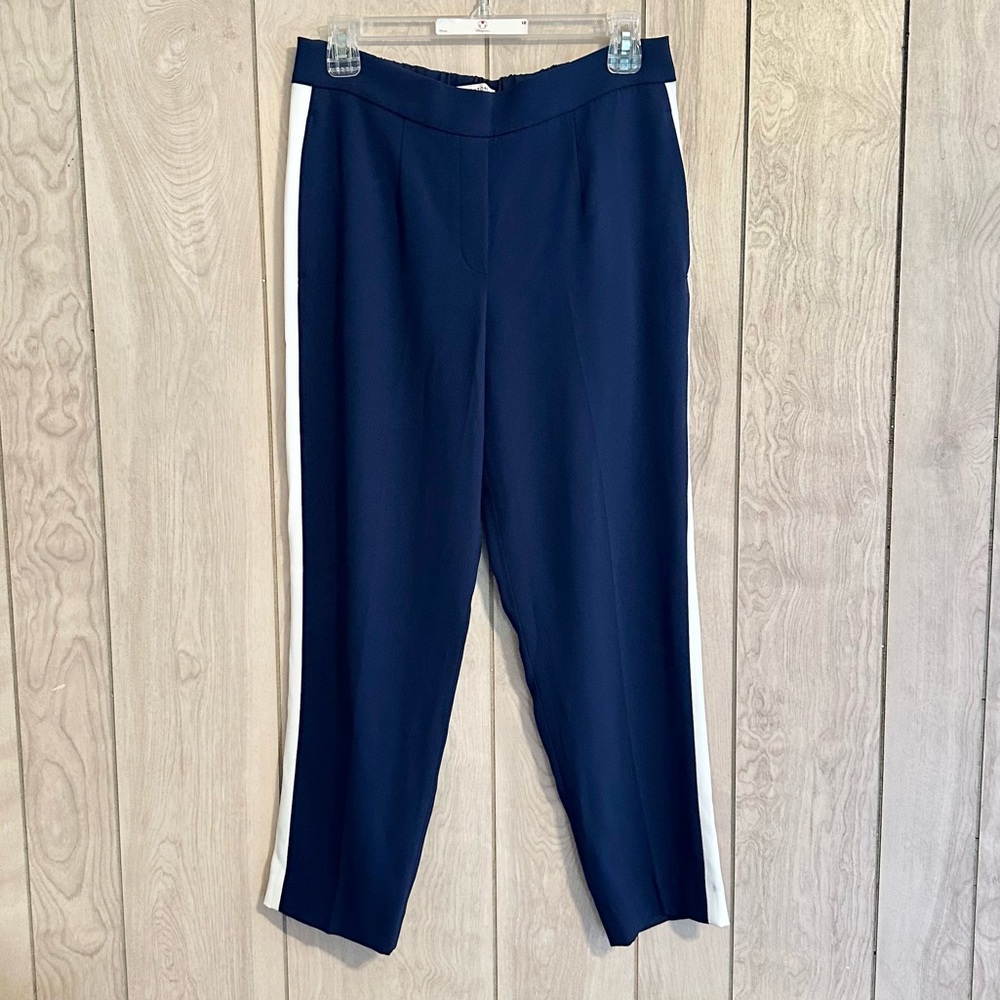 Aritzia Babaton Conan Pant Teraso